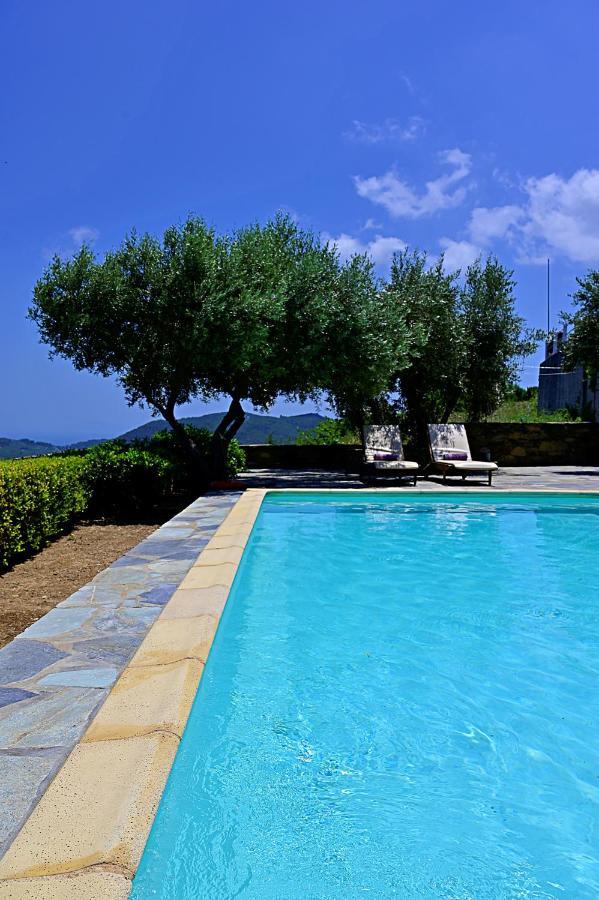 Erato Villa Skopelos Town Bagian luar foto