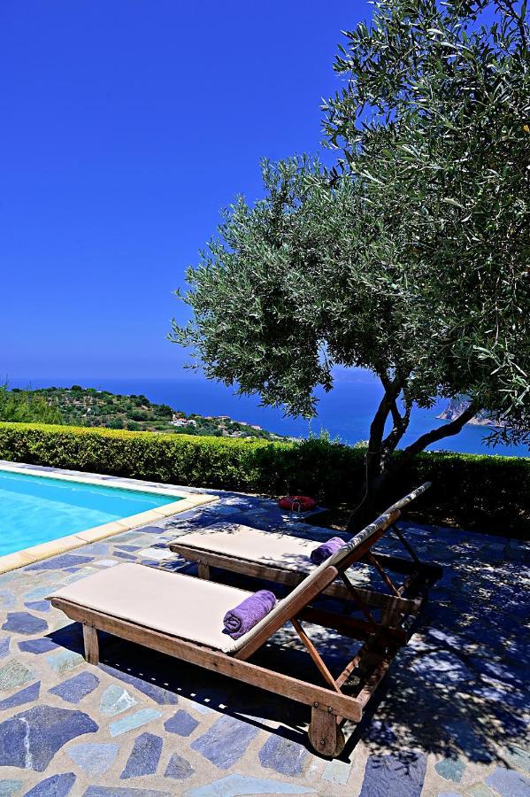 Erato Villa Skopelos Town Bagian luar foto